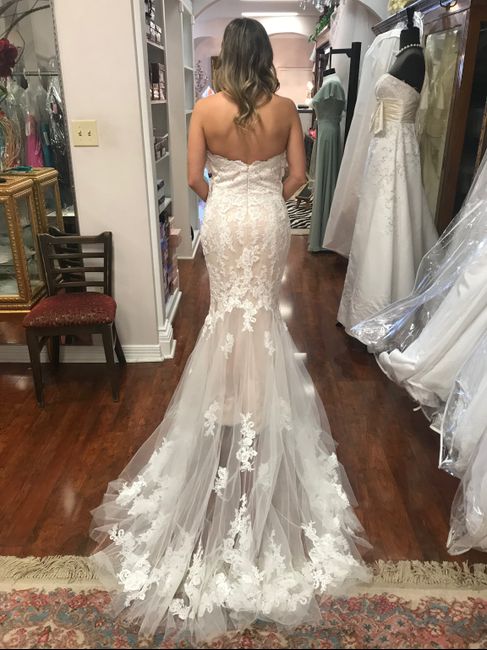Dress Share! - 1