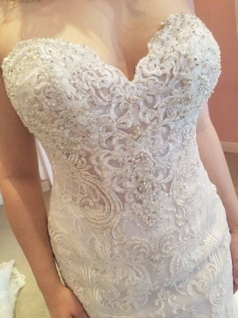 My Dress Came! 2