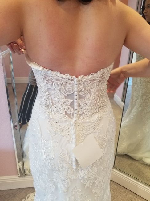 My Dress Came! 3