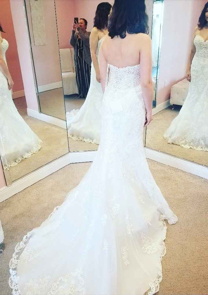 My Dress Came! - 4