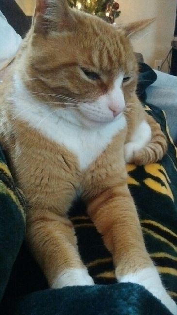 NWR: post pics of your pets!!