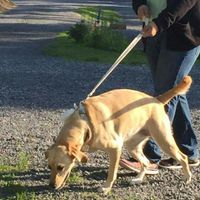 Woooooo! Non pro BAM, and on our HM for next two weeks (mobile only)