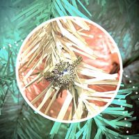  Rings - 1