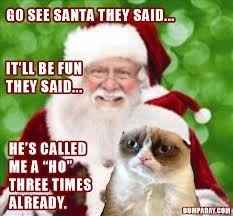 NWR: I love Christmas but this cat is too funny