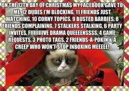 NWR: I love Christmas but this cat is too funny