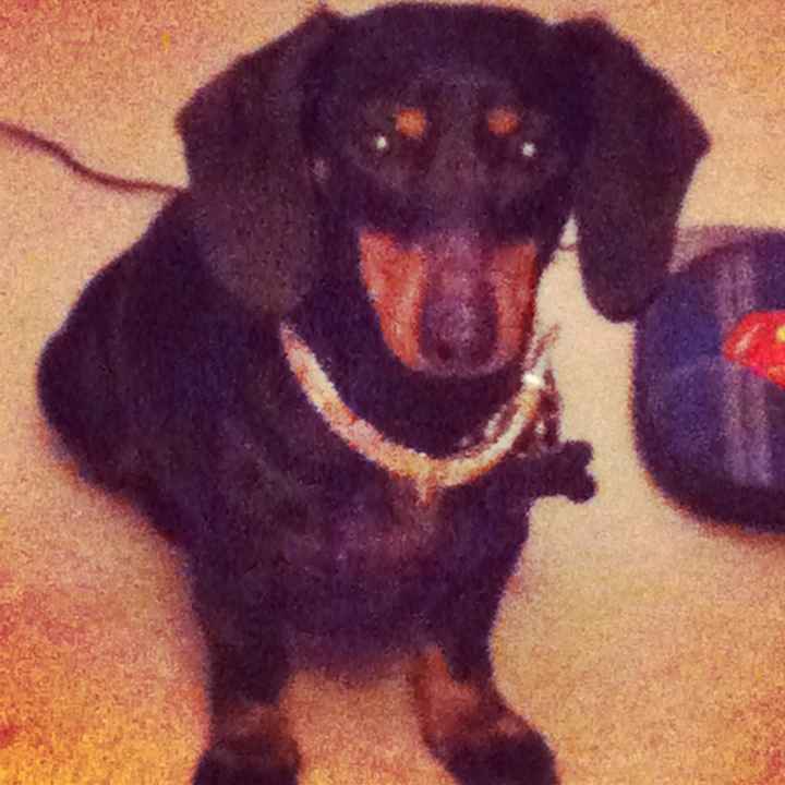 NWR: Furry Friday? Yeah, just made that up as an excuse to post my kitty...