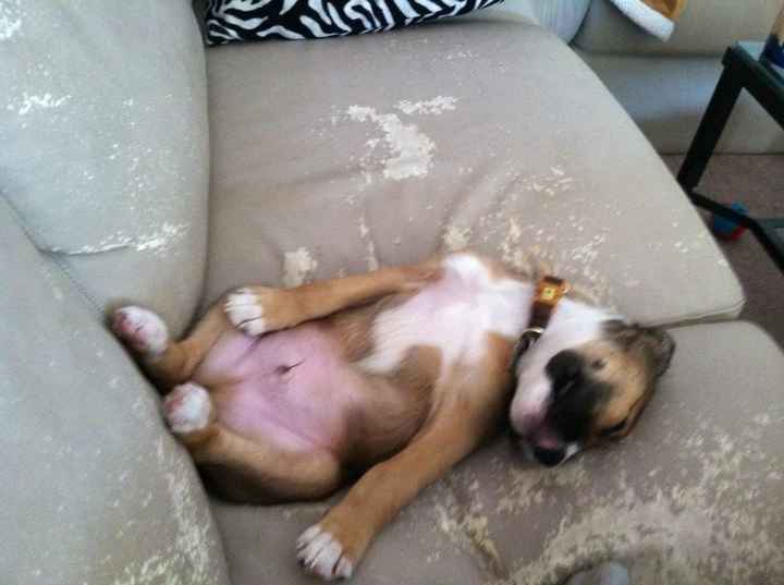 NWR: Furry Friday? Yeah, just made that up as an excuse to post my kitty...