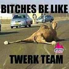 I'm having a cash bar, dollar dance, cash gift only, camo themed wedding in a park