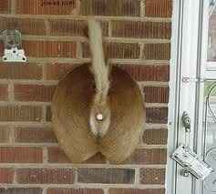 I'm having a cash bar, dollar dance, cash gift only, camo themed wedding in a park