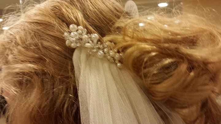 Headpieces/Combs show and tell...