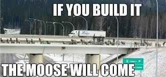 meme wedne.....**FRIDAY!!!!!**