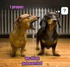 meme wedne.....**FRIDAY!!!!!**