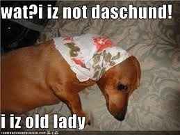 meme wedne.....**FRIDAY!!!!!**