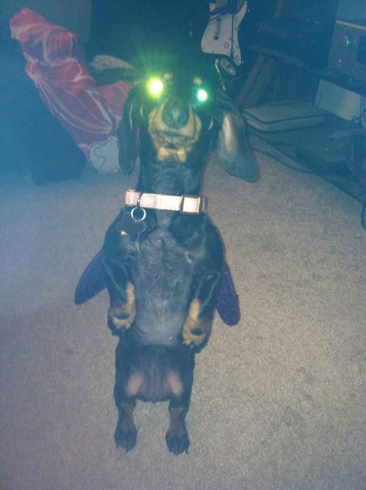 NWR - Spin off of Puppies post...