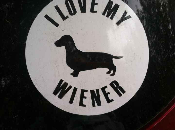 NWR - Spin off of Puppies post...