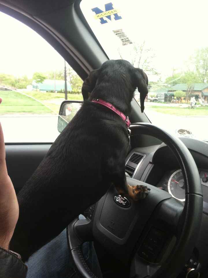 NWR - Spin off of Puppies post...