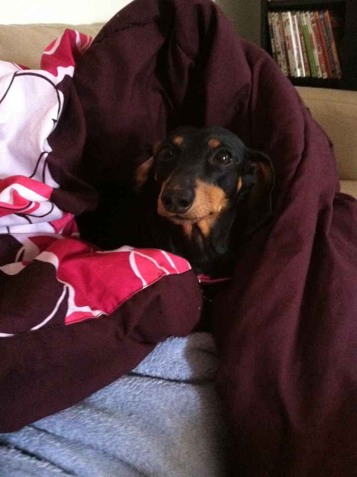 NWR - Spin off of Puppies post...