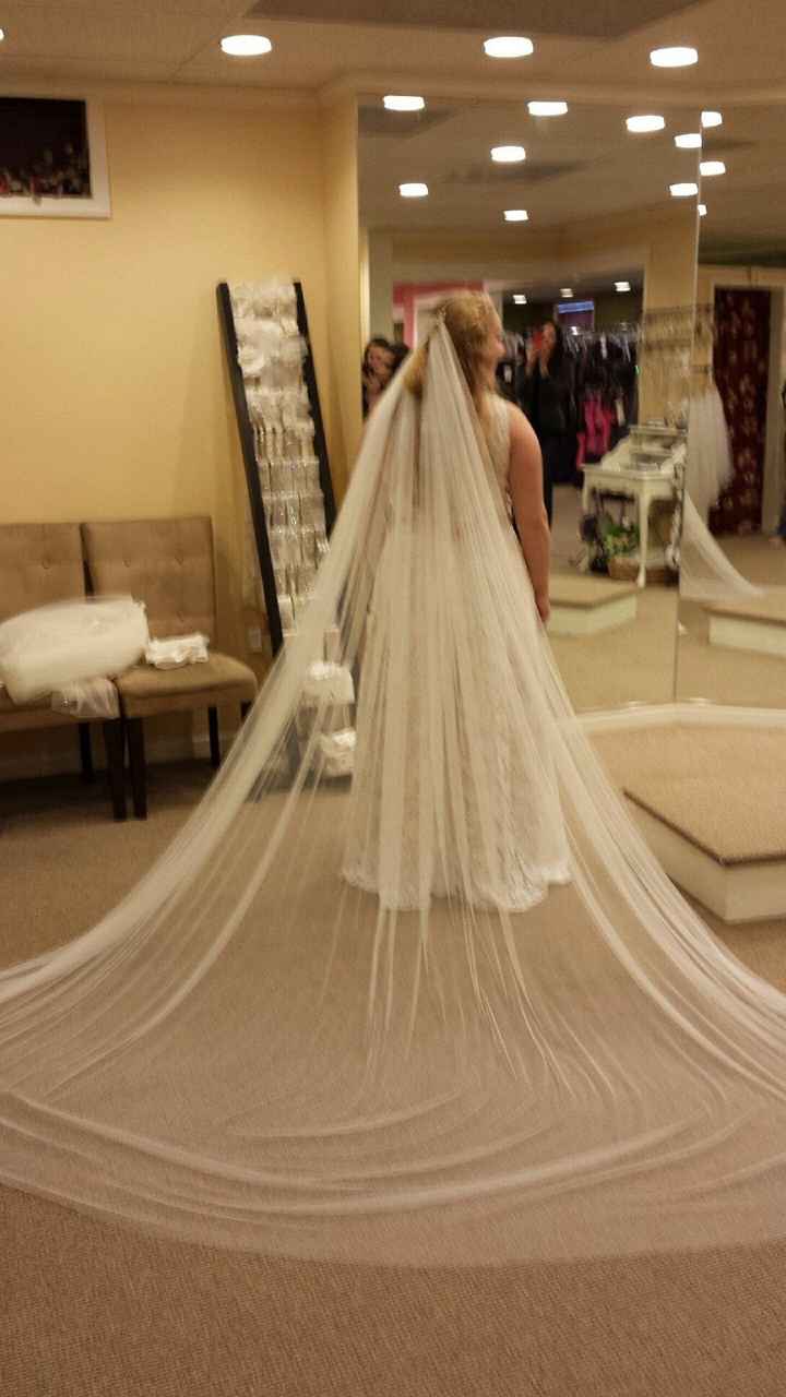 Cathedral Veil brides!  Any edging or details on yours?