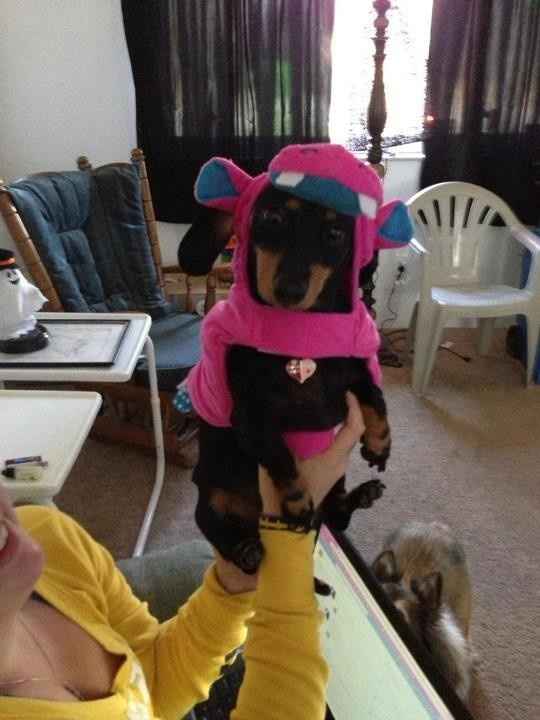 NWR - Spin off of Puppies post...