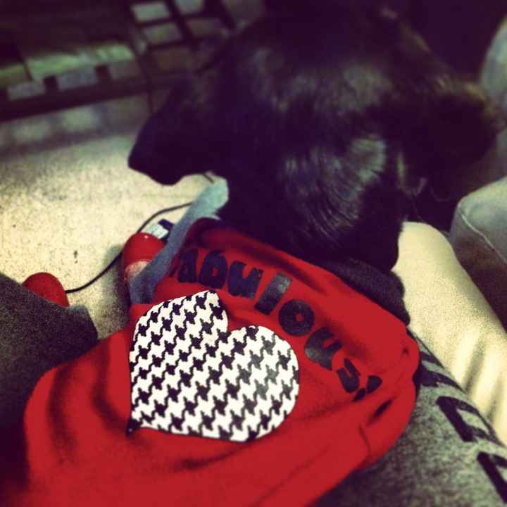 NWR - Spin off of Puppies post...