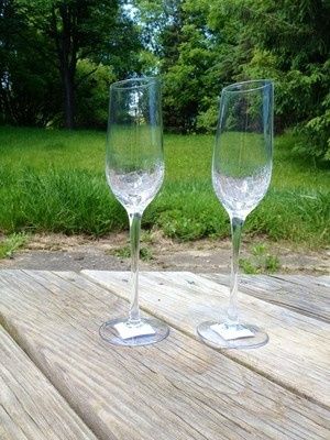 Toasting Flutes and cake servers and Guestbook show me yours