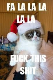 NWR: I love Christmas but this cat is too funny