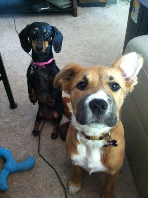 NWR: Fur Baby! :)