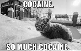 All I hear (or read) today is...