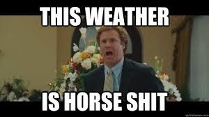 SNOW DAY!!!