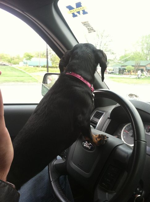 NWR - Spin off of Puppies post...