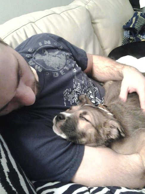 NWR:  Fur Babies