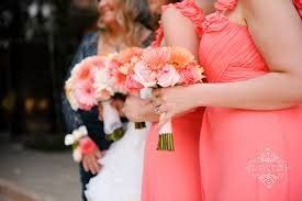 SHOW ME YOUR GERBERA DAISIES! - flowers help!