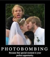 A little therapy for all that wedding anxiety!