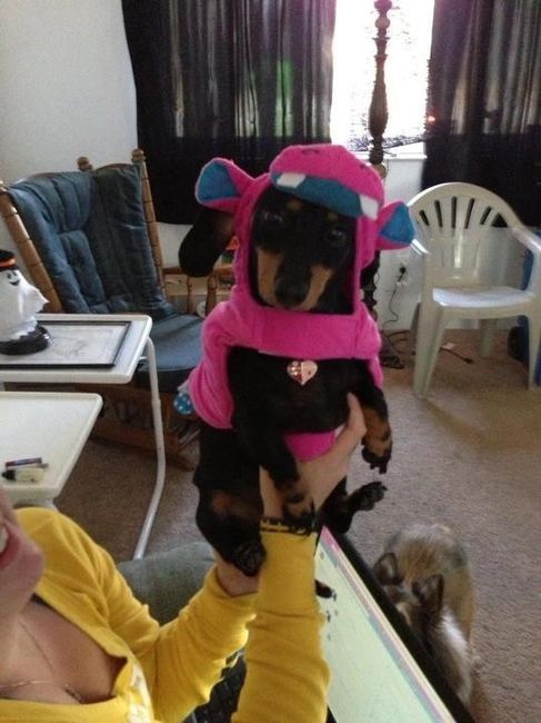 NWR - Spin off of Puppies post...