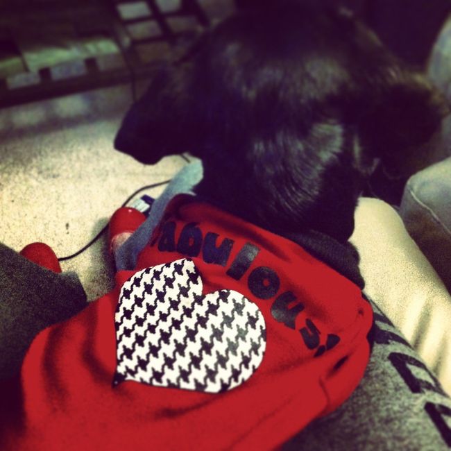 NWR - Spin off of Puppies post...