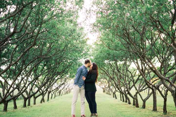 Pro Engagement Pictures! - 4