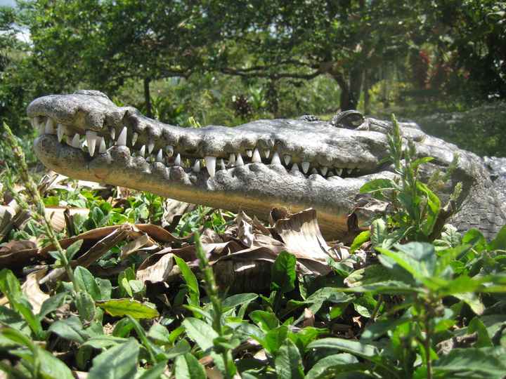 Where to honeymoon? Fh wants to relax, I want culture and adventure. Need best of both worlds.