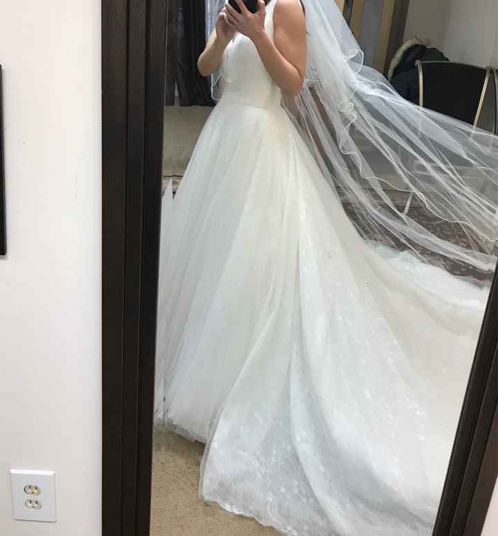Dress Opinions - 2