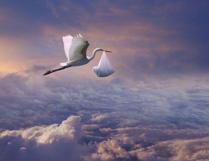 When is it okay to call the stork? - 1