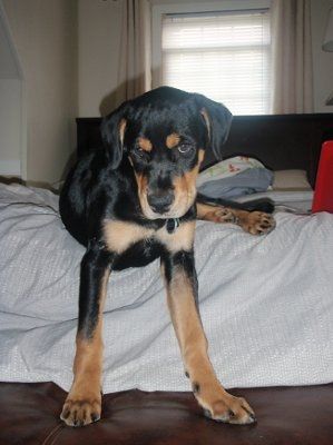 NWR: Lets see our pets!!
