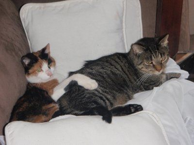 NWR: Show off your fur baby!