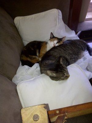 NWR: Furry Friends