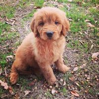 NWR: Happy Furry Fursday, let's see them fur babies!