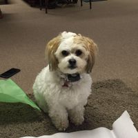 Show off your fur babies!