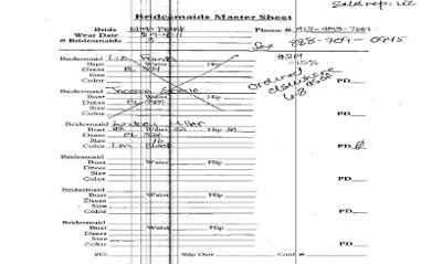 Bridal Shop want to charge me a rush fee for dress ordered 3 months ago