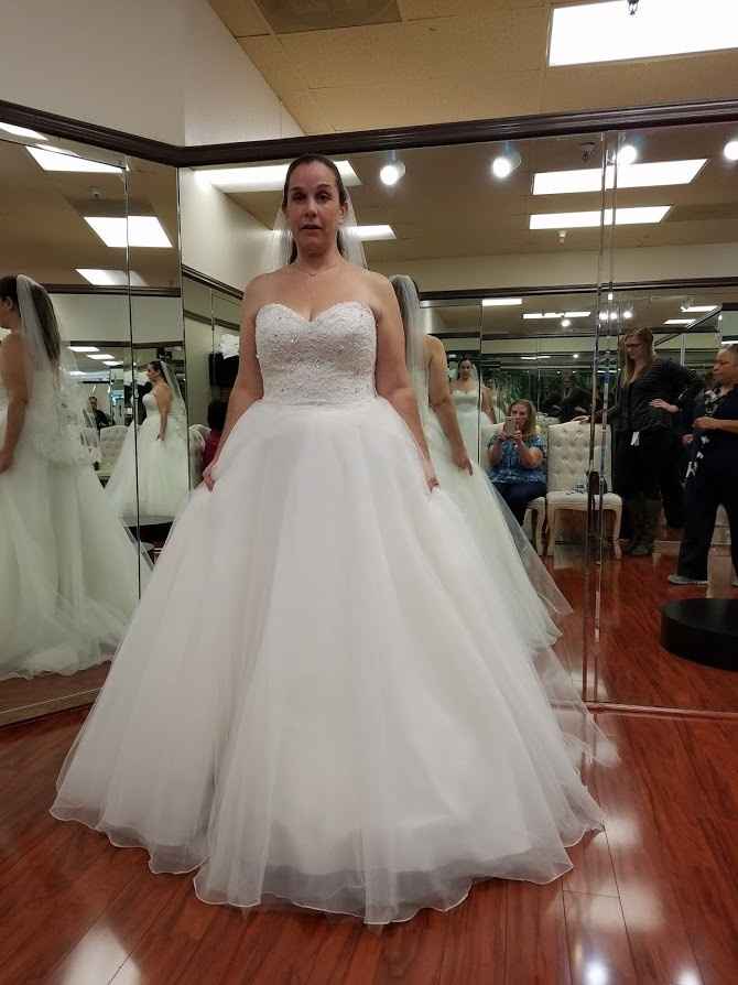 I found my dream dress!