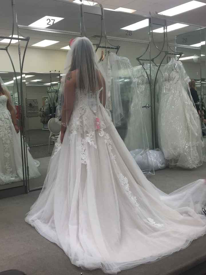 Back of the dress