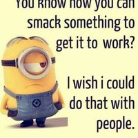 WW: Please welcome, Tickled Tuesday!