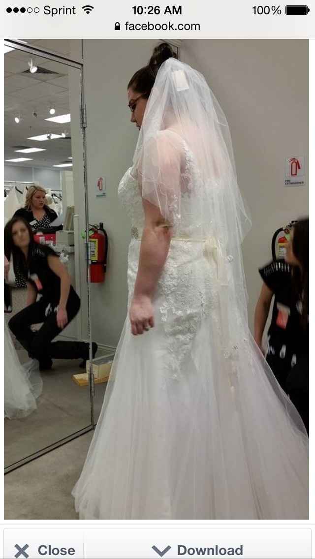 UPDATE: Question/ feeling guilty. Dress try ons.
