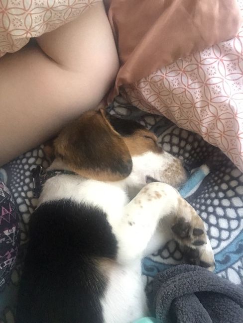 Early wedding present.